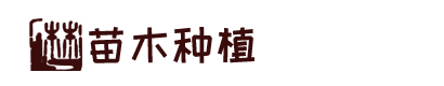 www.wd8888.com