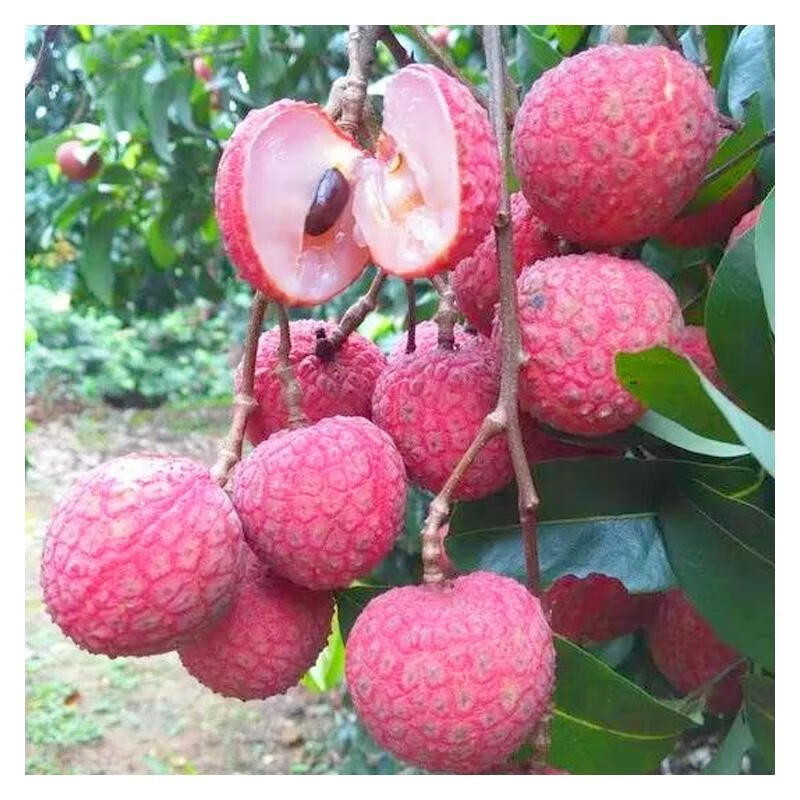 上海市人民政府新闻办公室