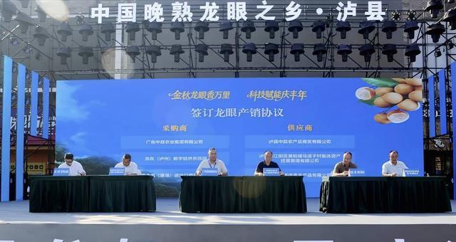 四川泸县龙眼即将“甜遍全国”！20万亩“致富黄金果”迎丰收有